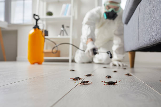 Commercial Kitchen Cockroach Control in Franklin Lakes